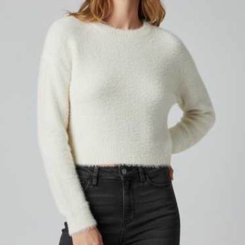 American Eagle Cropped Fuzzy Long Sleeve Sweater